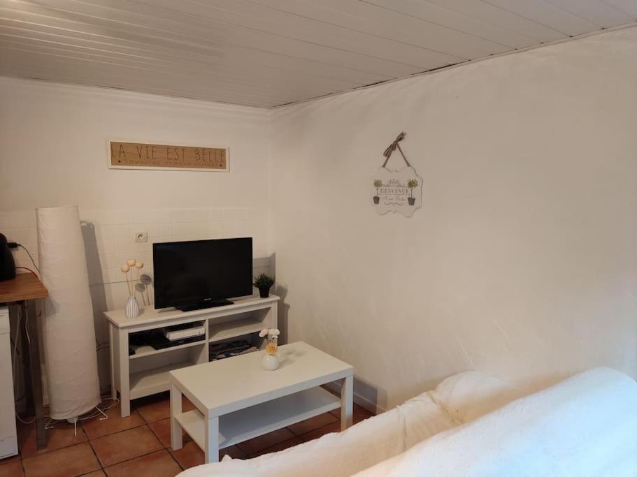 Appartement En Rez De Jardin Et Terrasse Ds Villa Hyeres Exterior photo